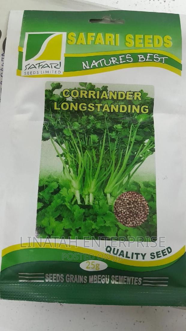 Coriander Long Standing 25gms - main view