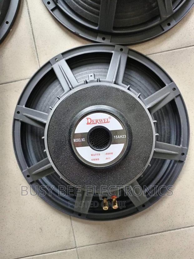 Derwel 15 Inch Naked Speaker - main view