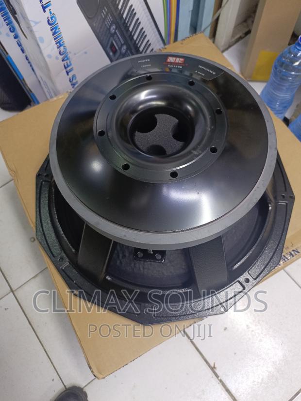 PD 1890 Bass Speaker Nakedz