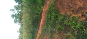 Alego Usonga Near Rakuom Primary School. - thumbnail 2
