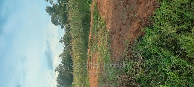 Alego Usonga Near Rakuom Primary School. - thumbnail 4