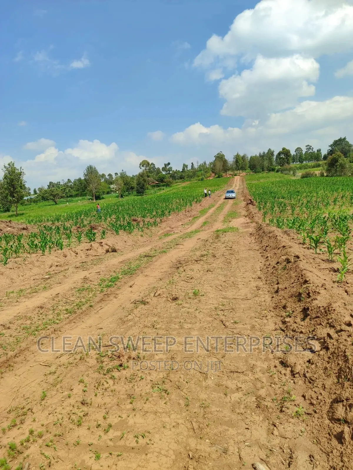 Plots For Sale in Ndeiya Land & Plots for Sale, Fredrick Muchene