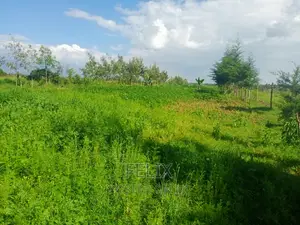 2 Bedroom House Kieni /Narumoru Kwa Jayee