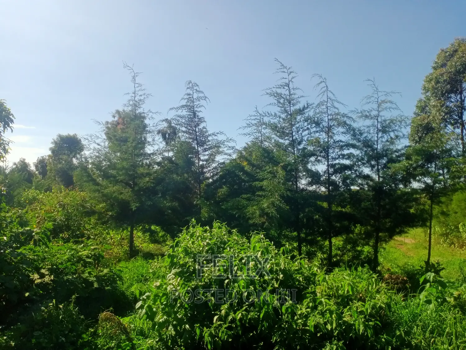 2 Bedroom House Kieni /Narumoru Kwa Jayee