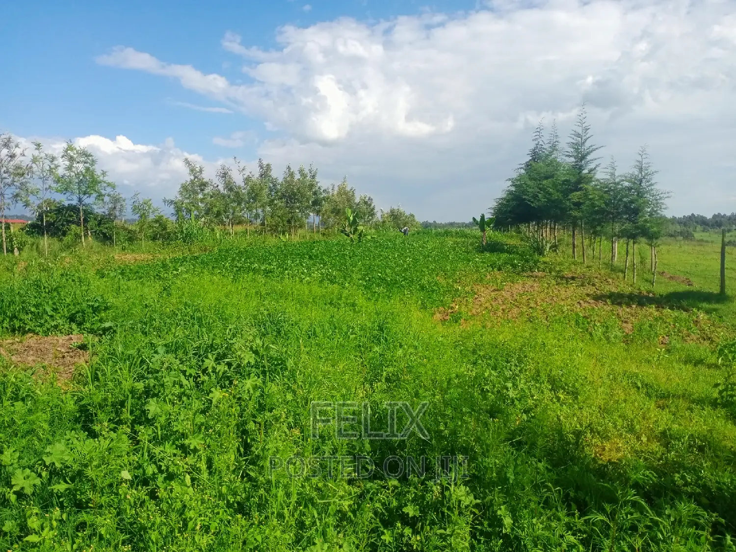 2 Bedroom House Kieni /Narumoru Kwa Jayee