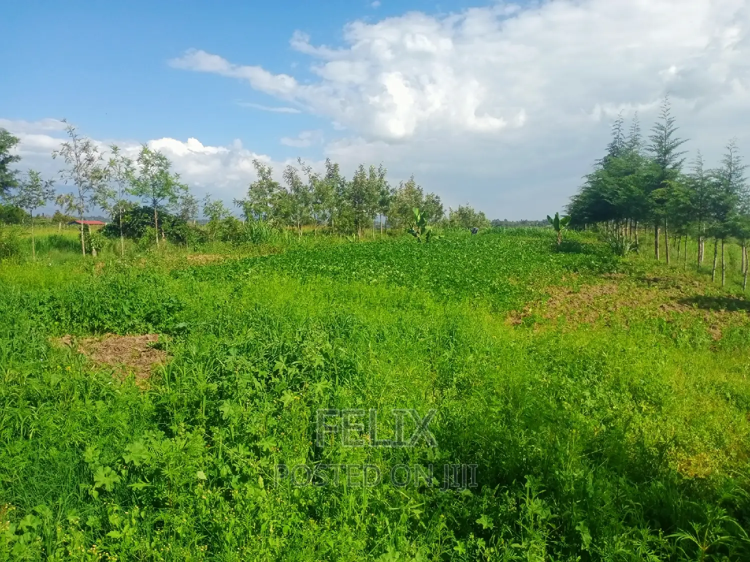 2 Bedroom House Kieni /Narumoru Kwa Jayee