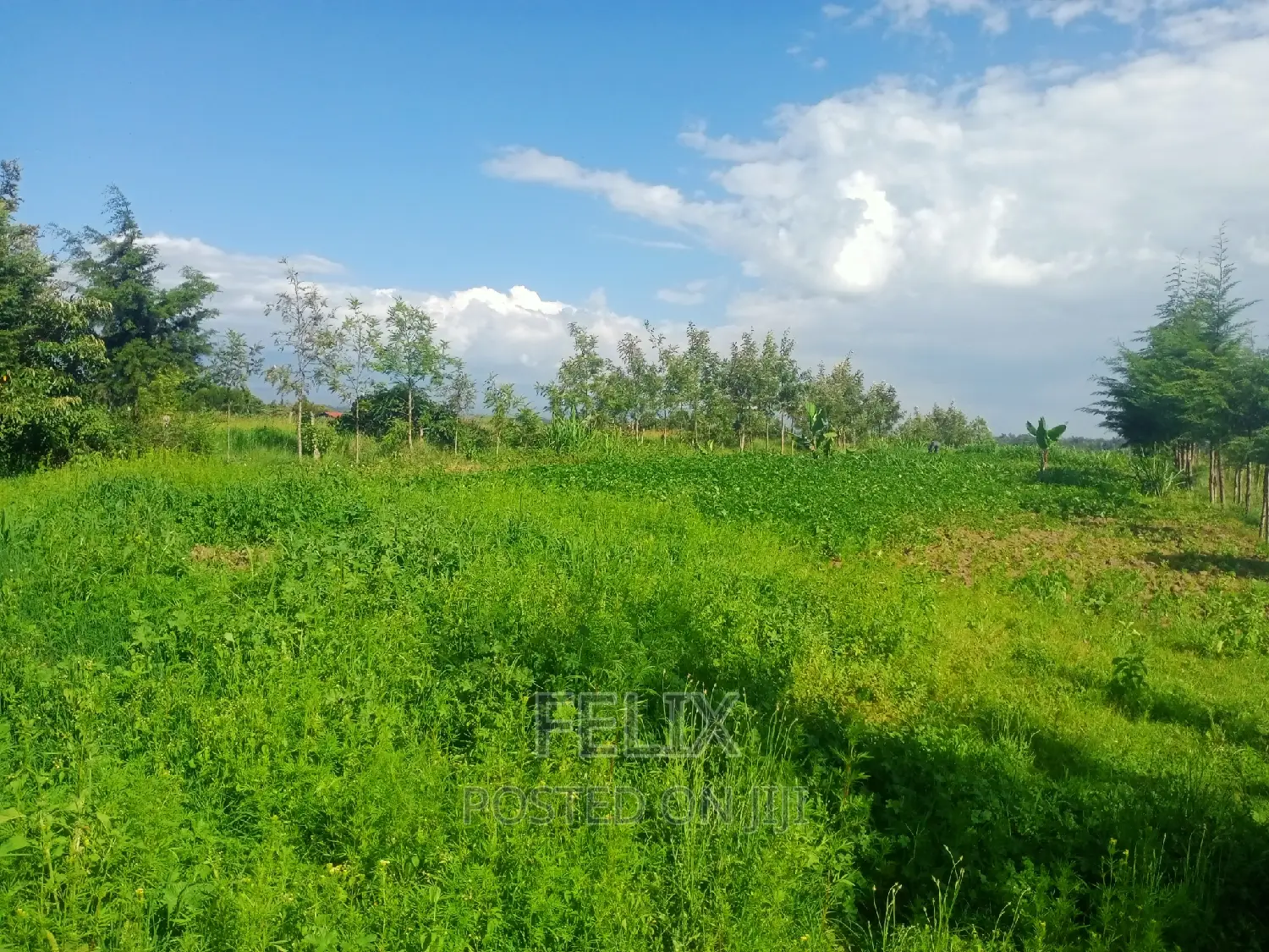 2 Bedroom House Kieni /Narumoru Kwa Jayee