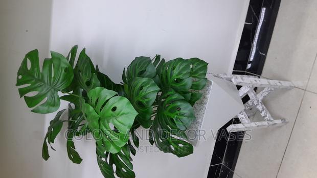 Plant With Vase and Stand on Offer