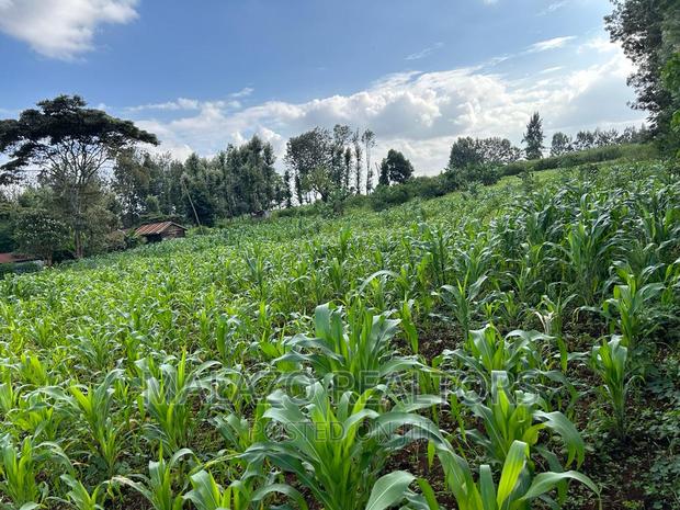 1 Acre Prime Plot in Muchata Town - thumbnail 3