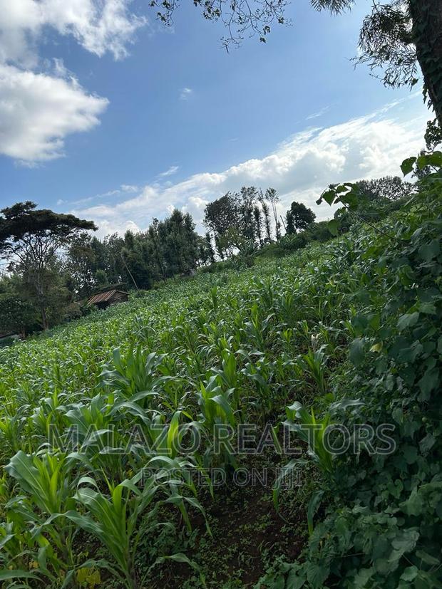 1 Acre Prime Plot in Muchata Town - thumbnail 4