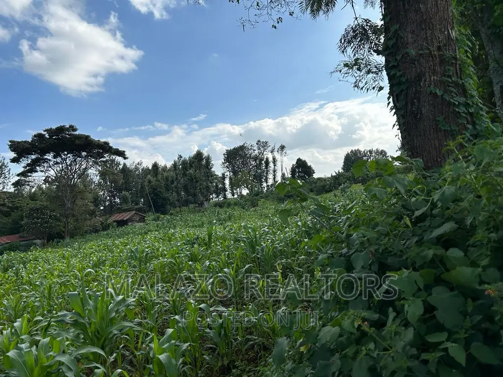 1 Acre Prime Plot in Muchata Town