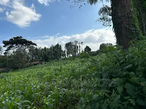 1 Acre Prime Plot in Muchata Town
