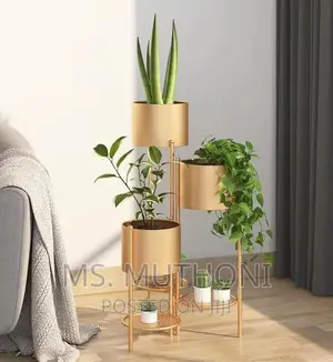 Aesthetic Quality 3 in 1 Planter