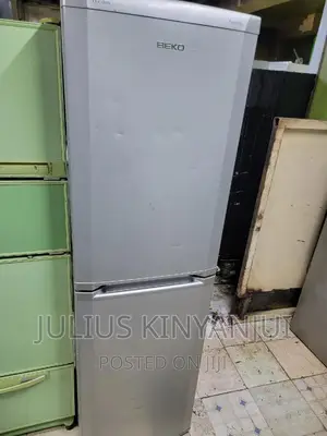 Double Door Fridge