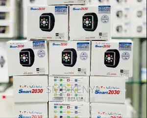 Smart Berry-W007 SIM Card Supported Bluetooth Smart Watch