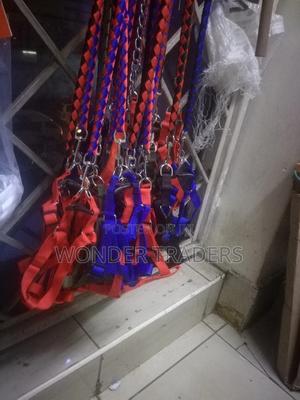 Dog Leash Dog Leash - thumbnail 2