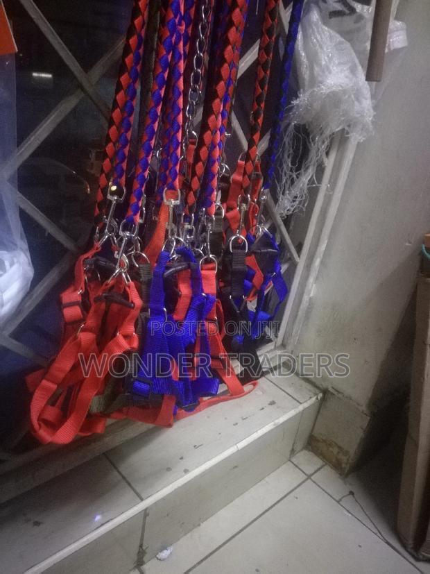 Dog Leash Dog Leash - main view