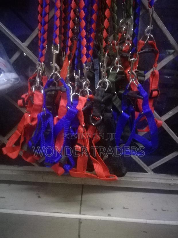 Dog Leash Dog Leash - main view