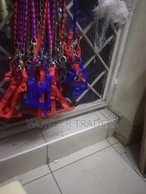 Dog Leash Dog Leash - thumbnail 2