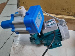 Water Pump 0.5 HP + Pressure Control Switch - thumbnail 2