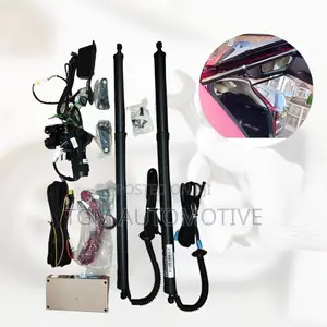 Lexus NX200 Electric Boot Shock Original 2015-2022