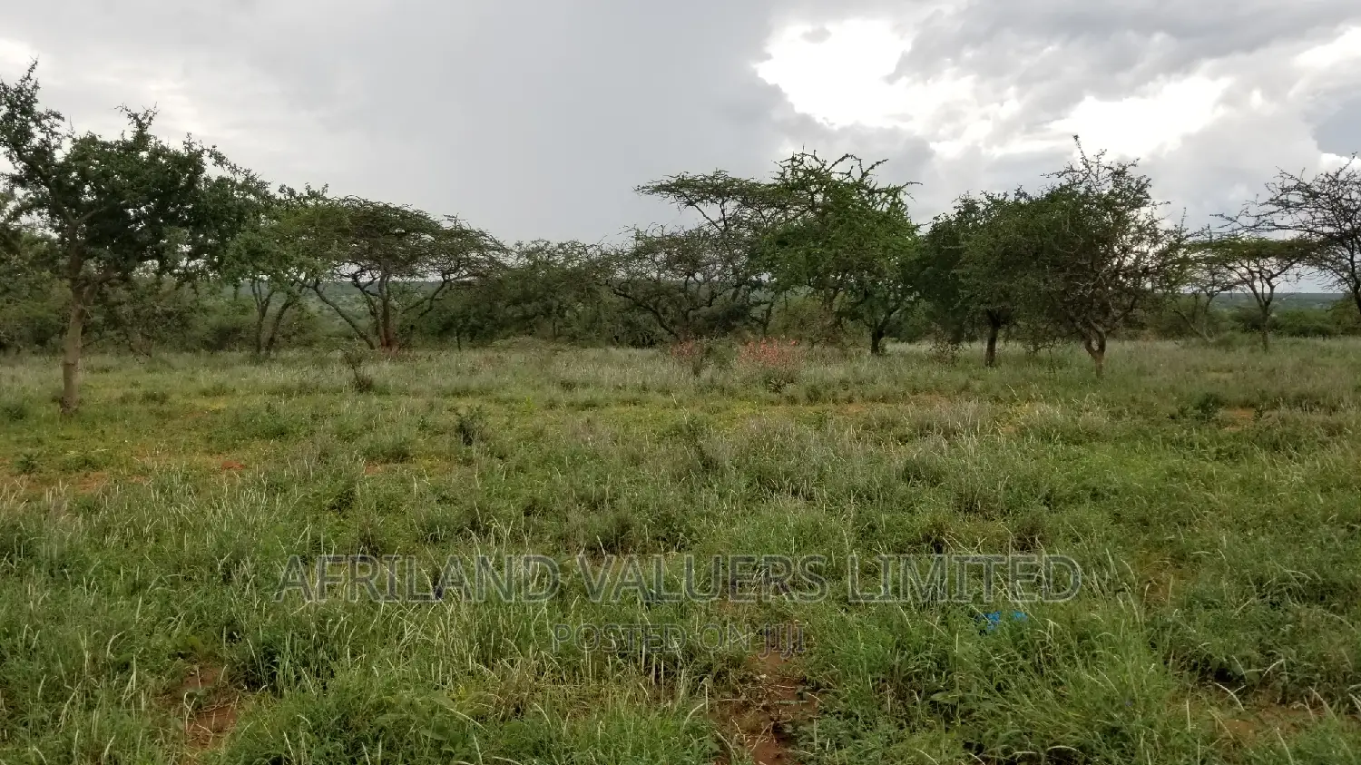 Plots for Sale in Kajiado Town