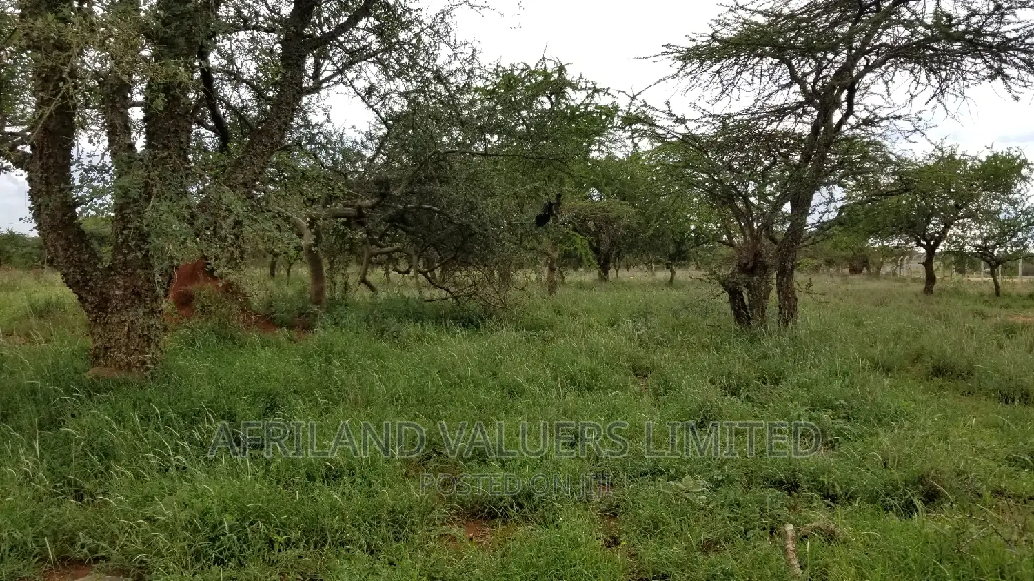 Plots for Sale in Kajiado Town
