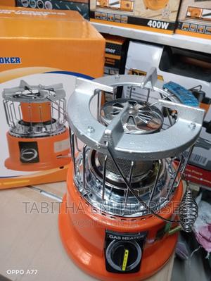 Brooding Ampia Gas - thumbnail 2