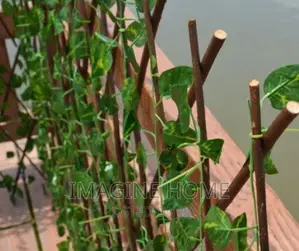 Stretchable Green Fence