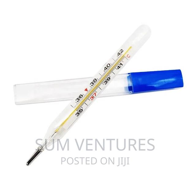 Mercury Thermometer - main view