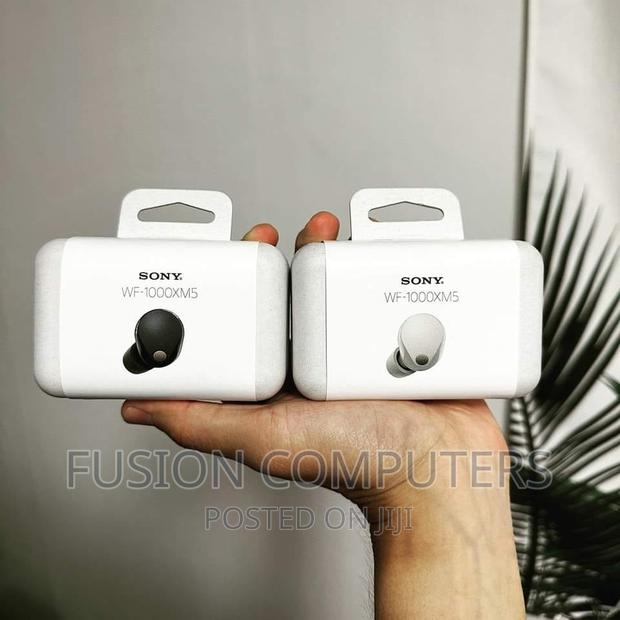 Sony Wf-1000xm5 the Best Truly Wireless Bluetooth Noise Canc - main view