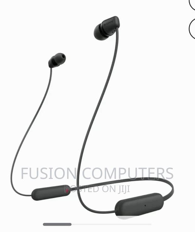 Sony Wi-C100 Wireless in-Ear Bluetooth Headphones - main view