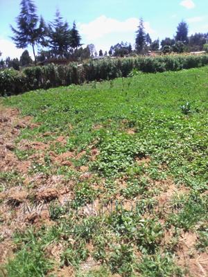 1⁄2 Acre Ndunyu Njeru - thumbnail 2
