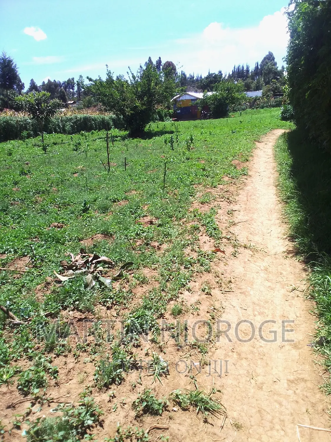 1⁄2 Acre Ndunyu Njeru