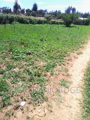 1⁄2 Acre Ndunyu Njeru