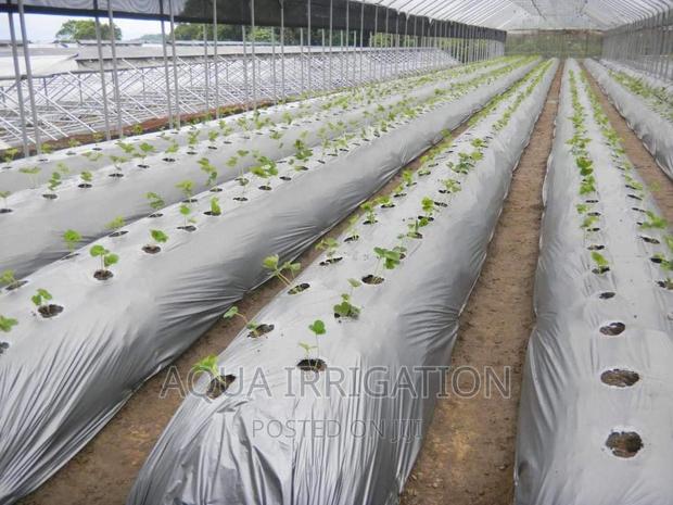 Mulching Paper - thumbnail 3