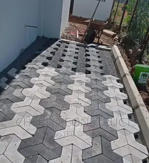 Amzing Colored Cabro Pavers