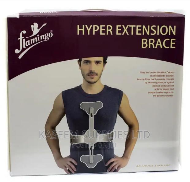 Flamingo Hyper Extension Brace Short - main view