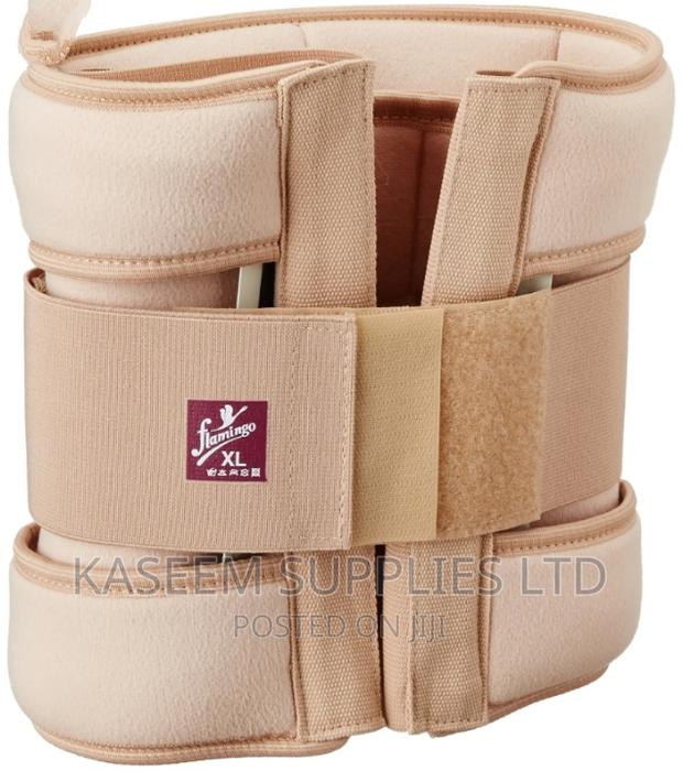 Flamingo Eco Frame Belt 2050 - main view