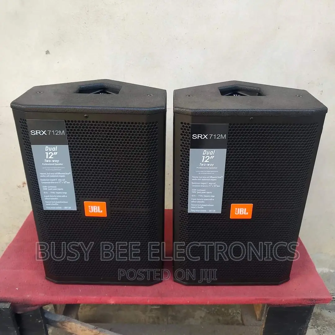 12 Inch JBL Monitors