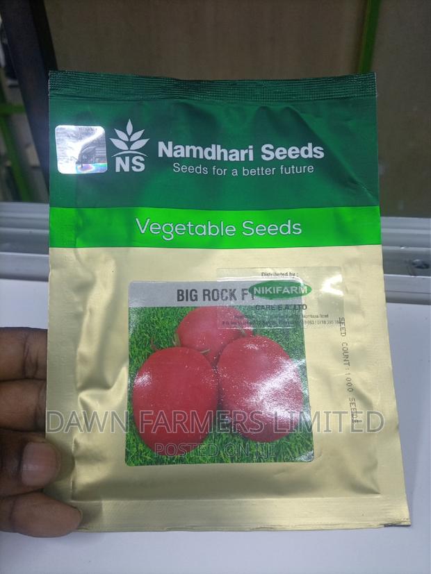 Tomatoes Hybrid ,Big Rock F1