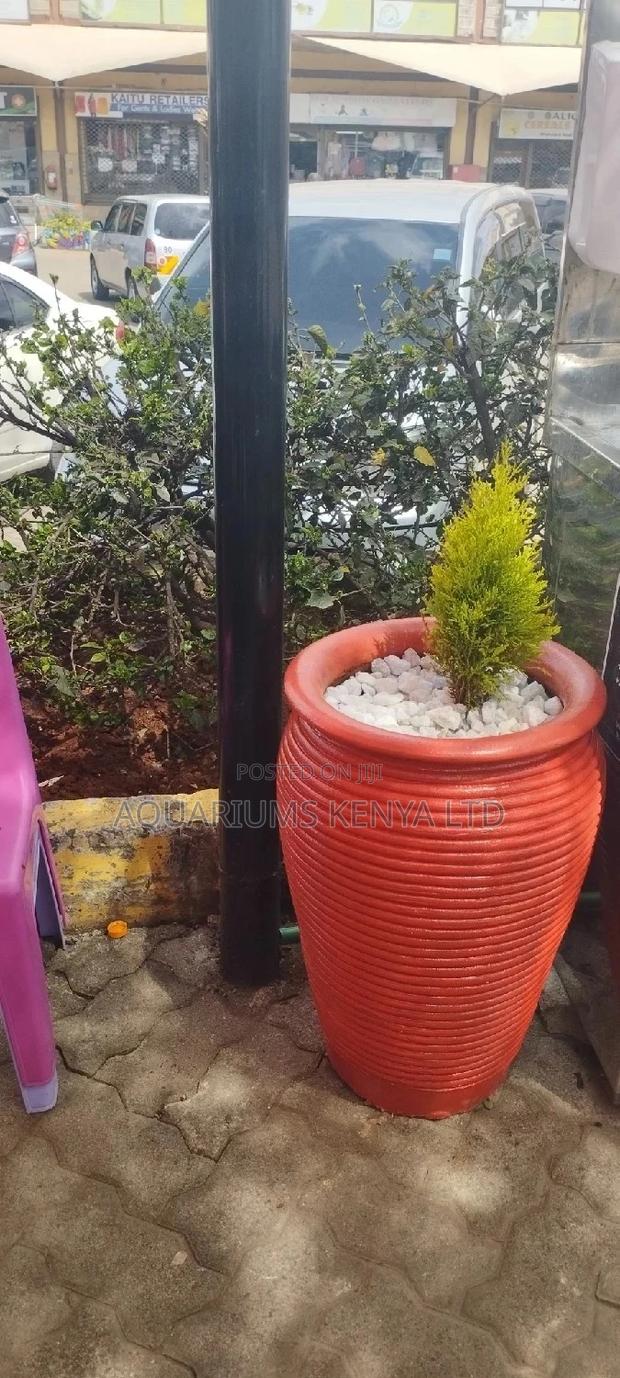 Jar Painted Pots With a Plant - main view