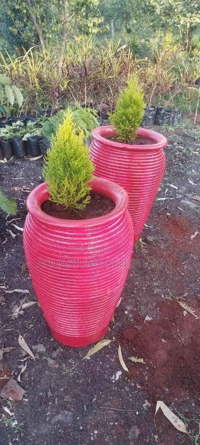 Jars Flower Pots