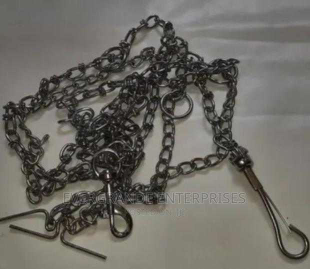 Dog Chain Dog Chain Dog Chain