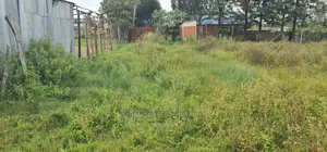 Prime Plot for Sale in Kimumu Ndovu in Eldoret