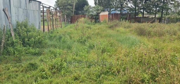 Prime Plot for Sale in Kimumu Ndovu in Eldoret - thumbnail 4