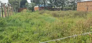 Prime Plot for Sale in Kimumu Ndovu in Eldoret