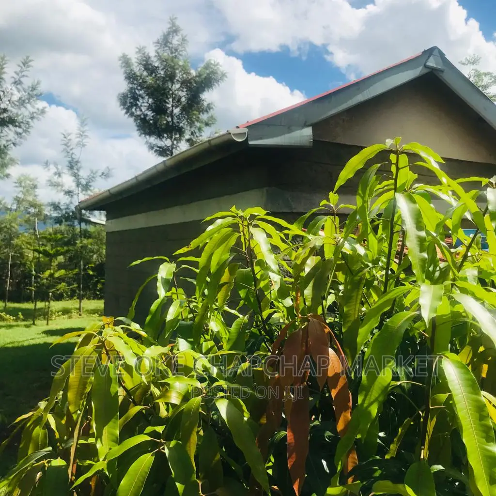 1 One Acre With a 3 Bedroom House Ready Clean Title Deed