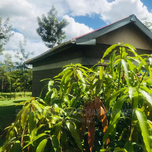 1 One Acre With a 3 Bedroom House Ready Clean Title Deed - thumbnail 3