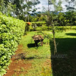 1 One Acre With a 3 Bedroom House Ready Clean Title Deed